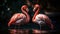 American flamingos wading in a tropical pond, showcasing natural elegance generated by AI