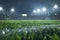 American football arena with yellow goal post, grass field and blurred fans at playground view. 3D render. Flashlights