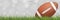 American football ball on green grass field with light blurred bokeh background. Vector