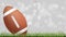 American football ball or rugby football ball on green grass court with light blurred bokeh background. Vector