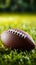 American football closeup, vibrant green field, ideal for customized text