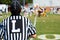 American Football game official -referee