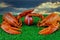 American football game season concept. Playing field and lobsters