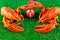 American football game season concept. Playing field and lobsters