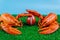 American football game season concept. Playing field and lobsters