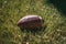 American football laying in the grass in sunshine