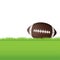 American Football Sitting on Grass Illustration