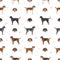 American foxhound all colours seamless pattern. Different coat colors set