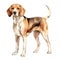 American Foxhound dog breed watercolor illustration. Cute pet drawing isolated on white background. AI Generated