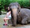 American girl with asian elephant at a conservation park in Bali, Indonesia. Beautiful woman tourist.