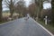 American greater rheas or nandu Rhea americana cross a country road in front of a driving car in Mecklenburg-Western Pomerania,