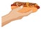 American hot dog with sausage, mustard and ketchup in a mans hand. Fast food. Cartoon vector on white background