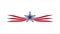 American Icon Star with Wings Motion Graphic HD