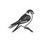 American kestrel bird icon