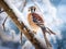 American kestrel  Made With Generative AI illustration