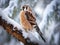 American kestrel  Made With Generative AI illustration