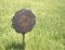 American Legion Star at cemetery