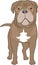 American mastiff dog