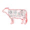 American Meat cuts diagram poster design. Beef scheme for butcher shop vector illustration. Cow animal silhouette vintage retro