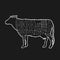 American Meat cuts diagram poster design. Beef scheme for butcher shop vector illustration. Cow animal silhouette vintage retro