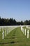 The American Military Cemetary in Luxembourg