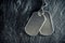 American military dog tags. Rough and worn with blank space for text. Memorial Day or Veterans Day