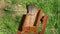 American mourning dove eating seeds on the wooden picnic table bird feeder