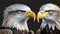 American national bird Bald Eagles on black background, AI-generated
