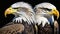 American national bird Bald Eagles on black background, AI-generated