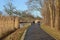 American oaks along the Apeldoorns kanaal