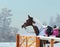 American Paint horse with bridle and english saddle in winter.