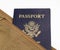 American Passport