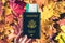 American passport with boarding pass in the woman hand maple leaves background in the autumn forest.  Travel Concept. Top view.