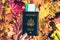 American passport with boarding pass in the woman hand maple leaves background in the autumn forest.  Travel Concept. Top view.