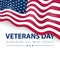 American patriotic poster with USA flag on white background. Vector national veterans day card