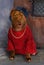 American Pit Bull Terrier dog dressed in a red tee shirt