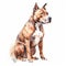 American Pitbull Terrier. Watercolor illustration on a white background