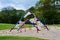 American Playground, Newly Toy Structure