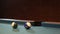 American Pool, the shot ball going in billiard pocket