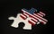 American Puzzle Piece - Flag of USA.