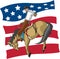 American Saddle Bronc rider