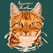 American Shorthair Painting Poster