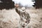 American soldier kneeling in despair on a grass field with his hand raised above