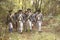 American soldiers during Historical American Revolutionary War Reenactment, Fall Encampment, New Windsor, NY