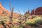 American Southwest Desert Landscape Red Sandstone