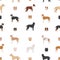 American staffordshire terrier dogs set. Color varieties, different poses. Seamless pattern