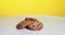 American style cookies with chocolate chips and raisins spin on a white table on a yellow background. Prores