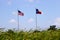 American and Texas Flag Waving Above Cattail plants