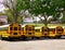 American typical school buses row in a park outdoor