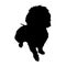 American Water Spaniel Black Silhouette Isolated On White